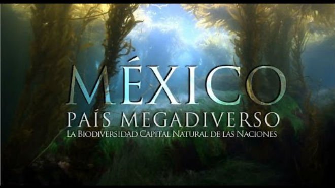 Por qué México es un país megadiverso Unión Jalisco